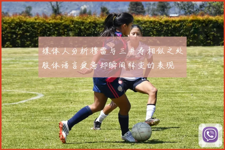媒体人分析穆雷与三井寿相似之处肢体语言疲惫却瞬间转变的表现