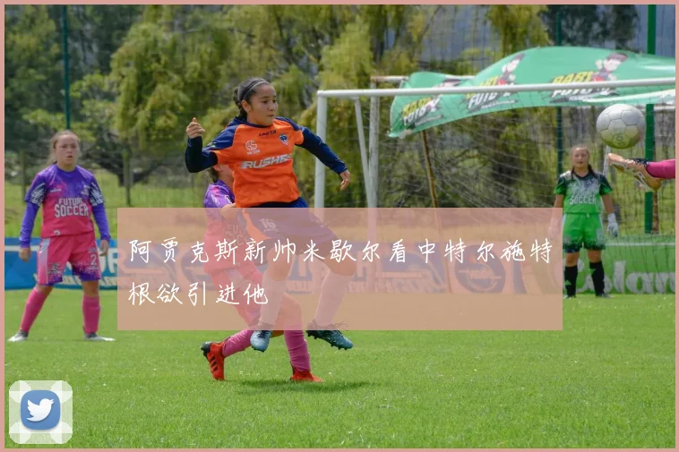 阿贾克斯新帅米歇尔看中特尔施特根欲引进他