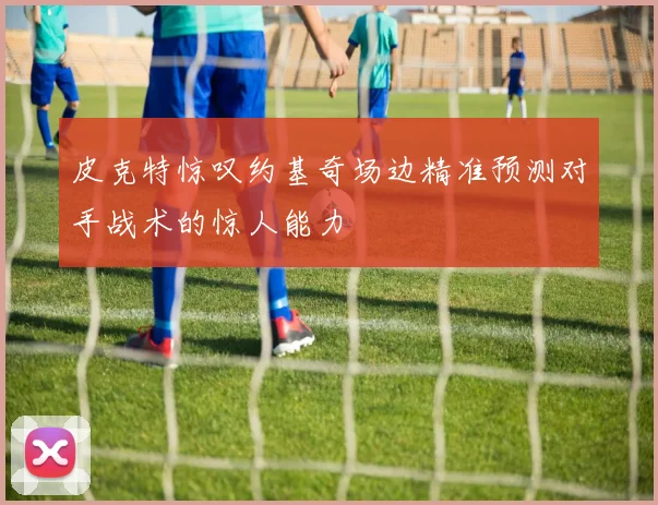皮克特惊叹约基奇场边精准预测对手战术的惊人能力